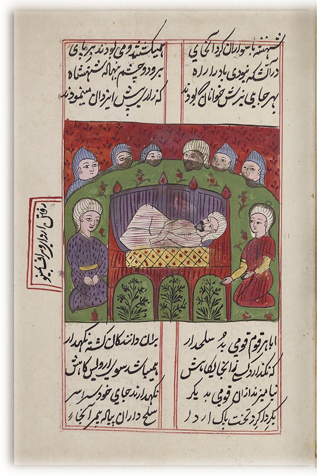 Magi Ancestral Supplements