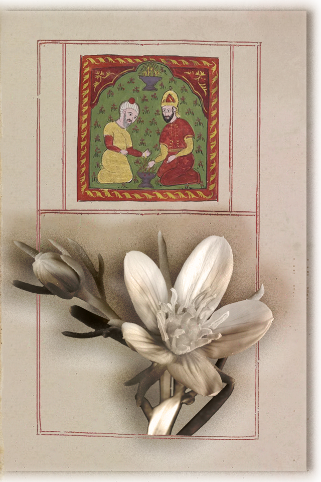 Ancient Iranian Poet, Priest & Philosopher Who Defined God To Be Pure Consciousness