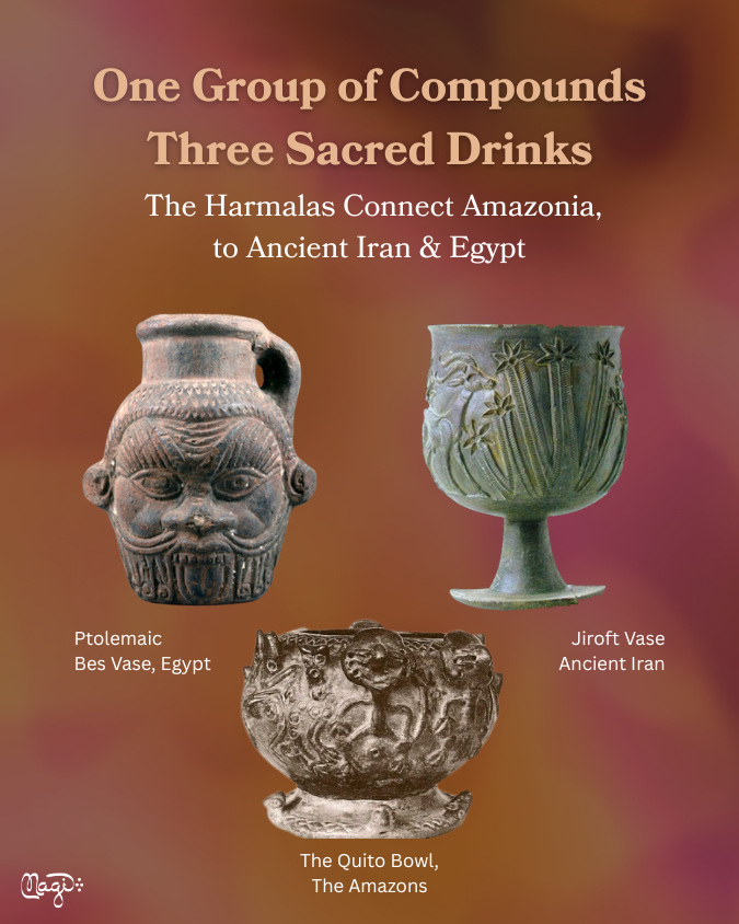 Harmala Alkaloids in Sacred Drinks